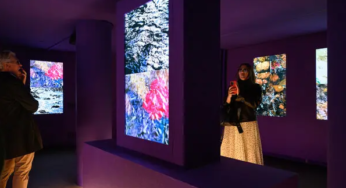 Exploring the Art World: Art and Social Justice