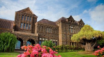 Hidden Gems: Underrated Galleries and Museums around the World
